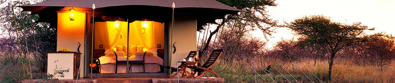 White Elephant Game Lodge